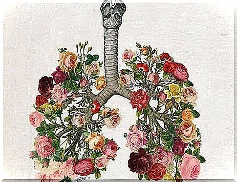 lungs-flowered