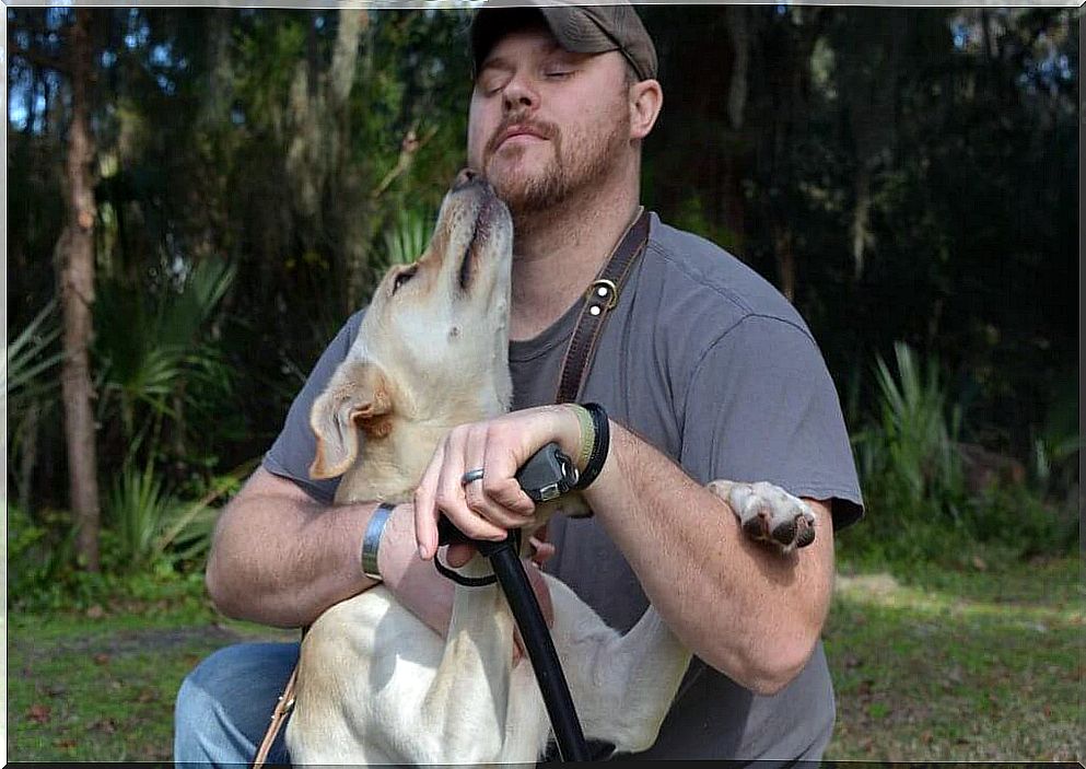 Man and dog guide the empathy of dogs