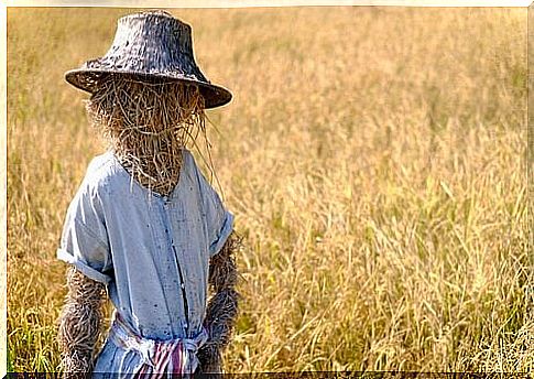 Fallacy of the straw man