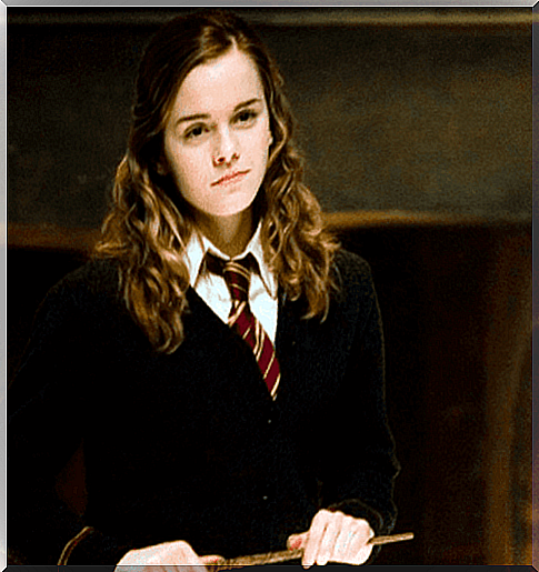 Hermione Granger, feminism in Harry Potter