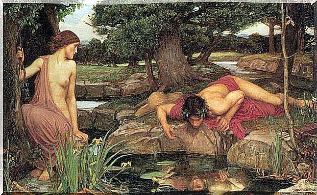 Narcissus: the story of an incurable egoist