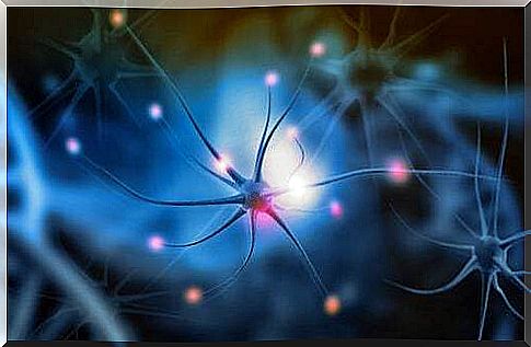 Neurons and color perception.