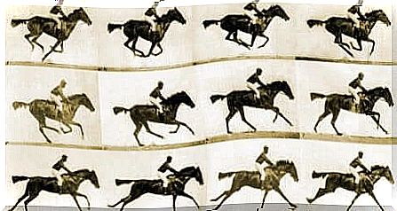 Frames of horses in motion.