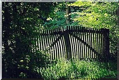 Wooden gate in the countryside