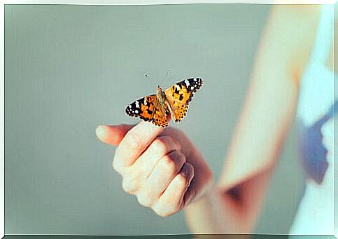 Hand with yellow butterfly