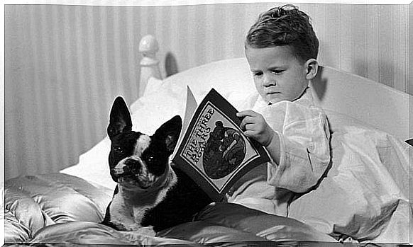 Child reading in bed