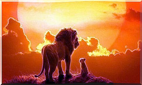 The Lion King: the call of nostalgia