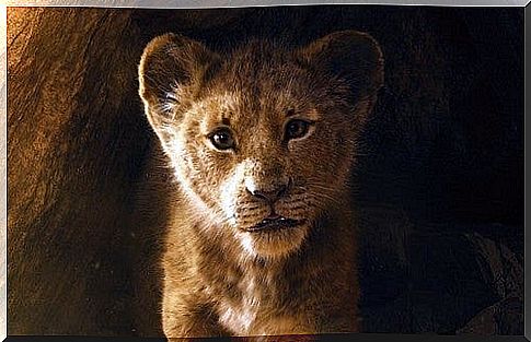 Simba as a child