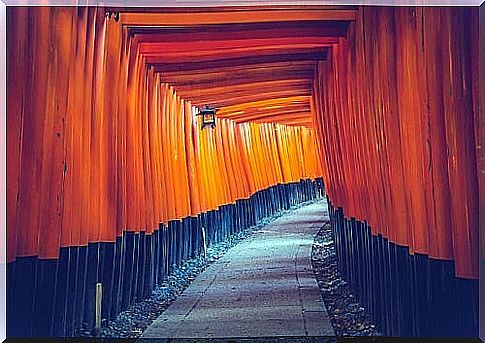 A passage built with wooden posts