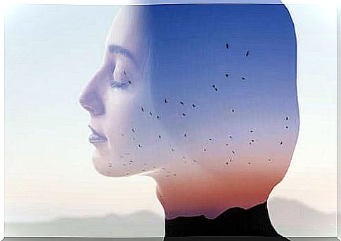 Transparent woman with closed eyes and in the background of flying birds.